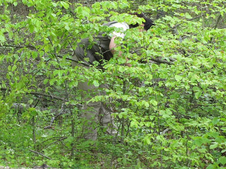 Wanderung 2014_047.jpg